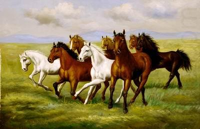 unknow artist Horses 025 china oil painting image